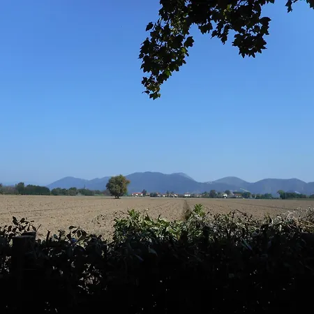 Maison De Dora Pensión San Giuliano Terme